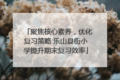 聚焦核心素养，优化复习策略 乐山县街小学提升期末复习效率
