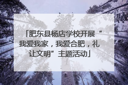 肥东县杨店学校开展“我爱我家，我爱合肥，礼让文明”主题活动
