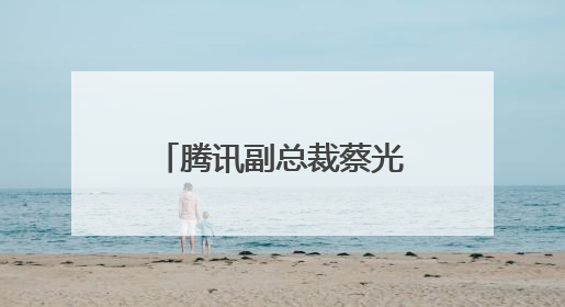 腾讯副总裁蔡光忠：“一带一路”背景下推动AI可持续发展