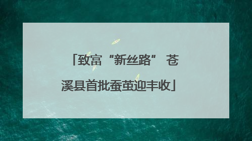 致富“新丝路” 苍溪县首批蚕茧迎丰收