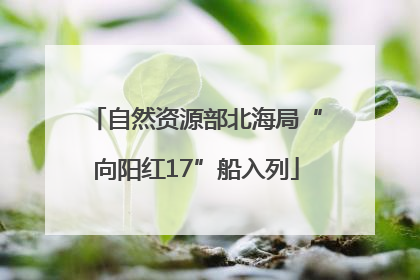 自然资源部北海局“向阳红17”船入列