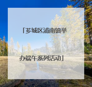 芗城区浦南镇举办端午系列活动