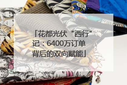 花都光伏“西行”记：6400万订单背后的双向赋能