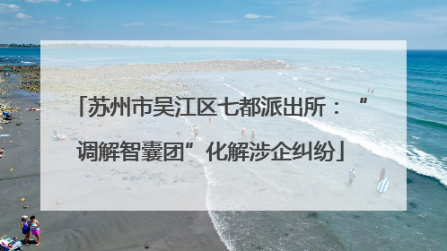 苏州市吴江区七都派出所：“调解智囊团”化解涉企纠纷