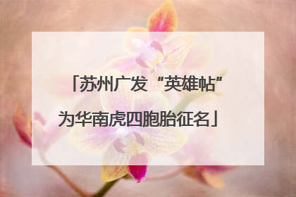 苏州广发“英雄帖”为华南虎四胞胎征名