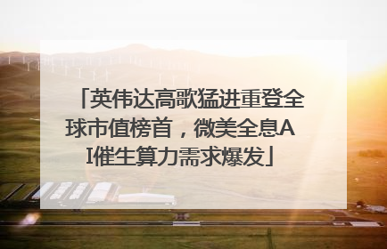 英伟达高歌猛进重登全球市值榜首，微美全息AI催生算力需求爆发