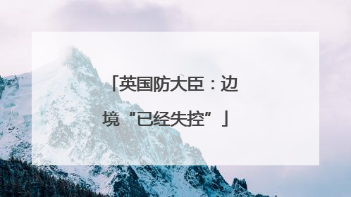 英国防大臣：边境“已经失控”