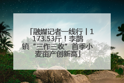 融媒记者一线行丨1173.53斤！李鹊镇“三作三收”首季小麦亩产创新高