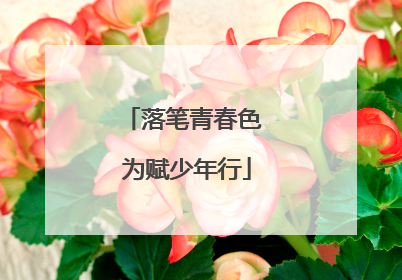 落笔青春色 为赋少年行