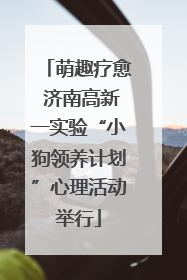 萌趣疗愈 济南高新一实验“小狗领养计划”心理活动举行