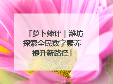 萝卜辣评｜潍坊探索全民数字素养提升新路径