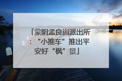 蒙阴孟良崮派出所：“小推车”推出平安好“枫”景