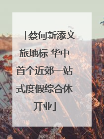 蔡甸新添文旅地标 华中首个近郊一站式度假综合体开业