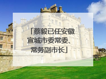 蔡毅已任安徽宣城市委常委、常务副市长
