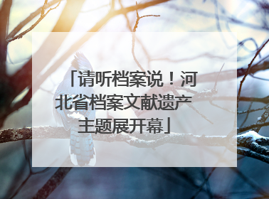 请听档案说！河北省档案文献遗产主题展开幕