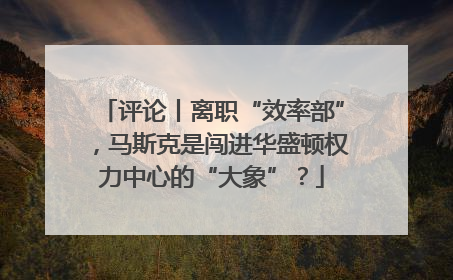 评论丨离职“效率部”，马斯克是闯进华盛顿权力中心的“大象”？