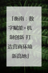 衡南：数字赋能+机制创新 打造营商环境新高地