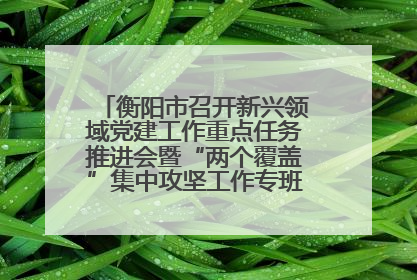 衡阳市召开新兴领域党建工作重点任务推进会暨“两个覆盖”集中攻坚工作专班 第一次会议