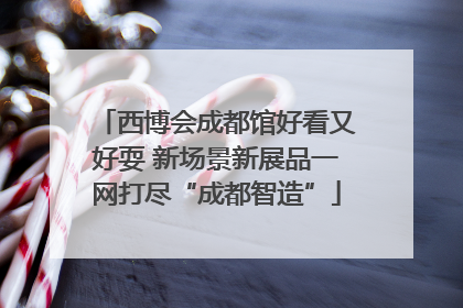 西博会成都馆好看又好耍 新场景新展品一网打尽“成都智造”
