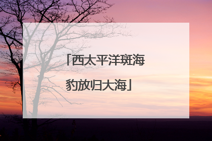 西太平洋斑海豹放归大海