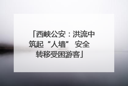 西峡公安：洪流中筑起“人墙” 安全转移受困游客