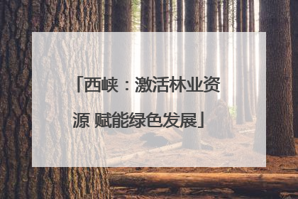 西峡：激活林业资源 赋能绿色发展