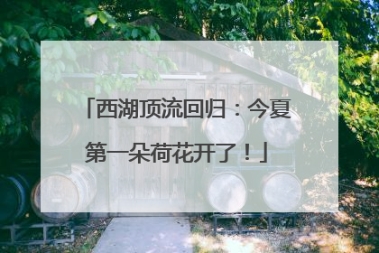 西湖顶流回归：今夏第一朵荷花开了！
