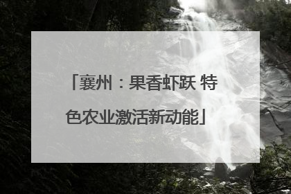 襄州：果香虾跃 特色农业激活新动能