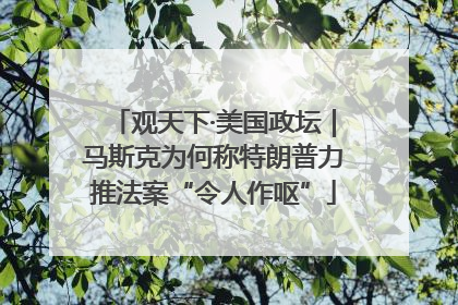 观天下·美国政坛｜马斯克为何称特朗普力推法案“令人作呕”