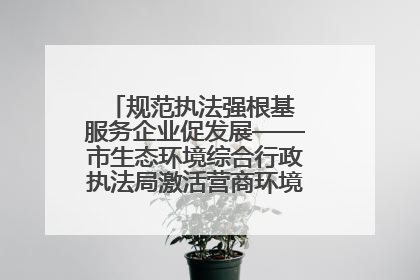 规范执法强根基 服务企业促发展——市生态环境综合行政执法局激活营商环境“绿色动能”