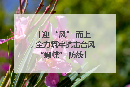 迎 “风” 而上，全力筑牢抗击台风 “蝴蝶” 防线