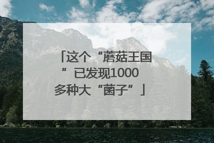 这个“蘑菇王国”已发现1000多种大“菌子”