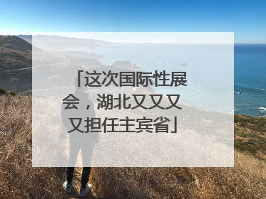这次国际性展会，湖北又又又又担任主宾省