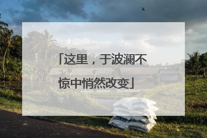 这里，于波澜不惊中悄然改变