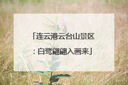 连云港云台山景区：白鹭翩翩入画来