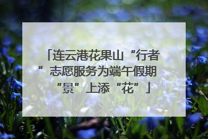 连云港花果山“行者”志愿服务为端午假期“景”上添“花”