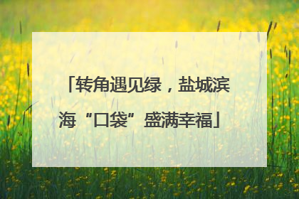 转角遇见绿，盐城滨海“口袋”盛满幸福