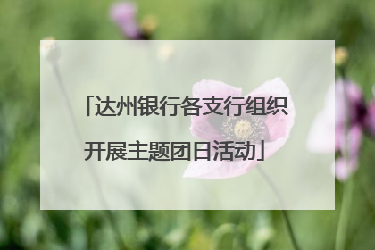 达州银行各支行组织开展主题团日活动