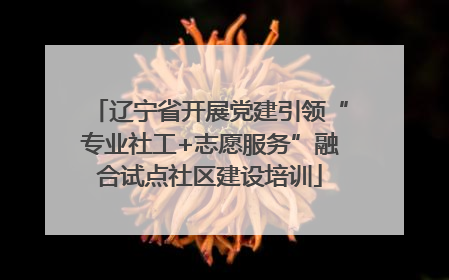 辽宁省开展党建引领“专业社工+志愿服务”融合试点社区建设培训