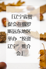 辽宁省贸促会在俄罗斯远东地区举办“投资辽宁”推介会
