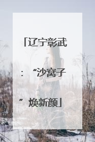 辽宁彰武：“沙窝子”焕新颜