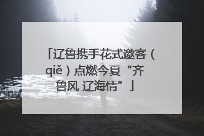 辽鲁携手花式邀客（qiě）点燃今夏“齐鲁风 辽海情”