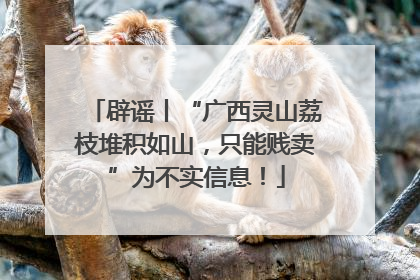 辟谣丨“广西灵山荔枝堆积如山，只能贱卖”为不实信息！