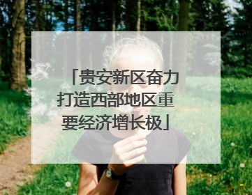 贵安新区奋力打造西部地区重要经济增长极