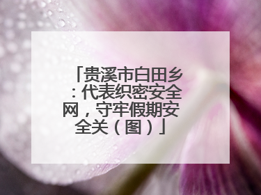 贵溪市白田乡：代表织密安全网，守牢假期安全关（图）