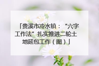 贵溪市冷水镇：“六字工作法”扎实推进二轮土地延包工作（图）