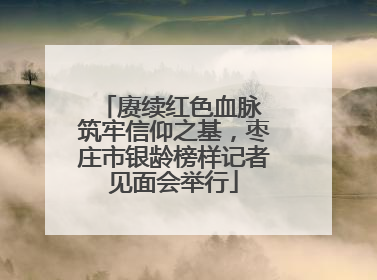 赓续红色血脉 筑牢信仰之基，枣庄市银龄榜样记者见面会举行