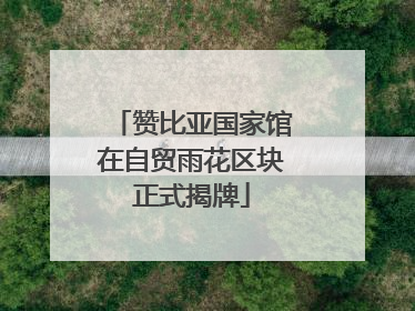 赞比亚国家馆在自贸雨花区块正式揭牌