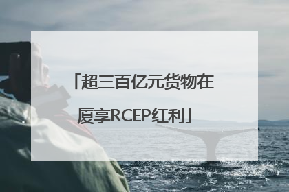 超三百亿元货物在厦享RCEP红利