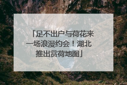 足不出户与荷花来一场浪漫约会！湖北推出赏荷地图